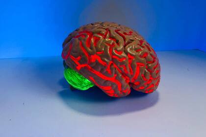 Los medicamentos para tratar la disfunción eréctil podrían tener efectos en enfermedades como el Alzheimer