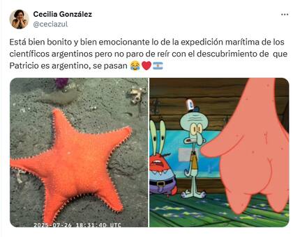Los mejores comentarios del streaming del Conicet en las redes (Foto: X @ceciazul)