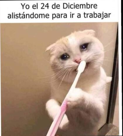Los mejores memes en la previa de la Navidad