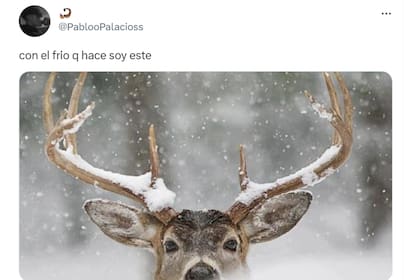 Los mejores memes por el frío que no afloja en el AMBA