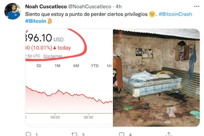 Los mejores memes por el mercado de las criptomonedas
