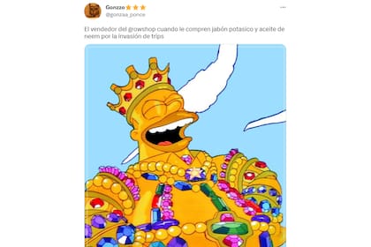 Los mejores memes por la invasión de trips en Buenos Aires
