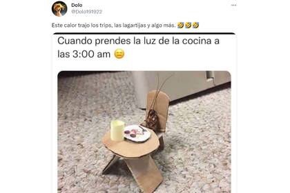 Los mejores memes por la invasión de trips en Buenos Aires
