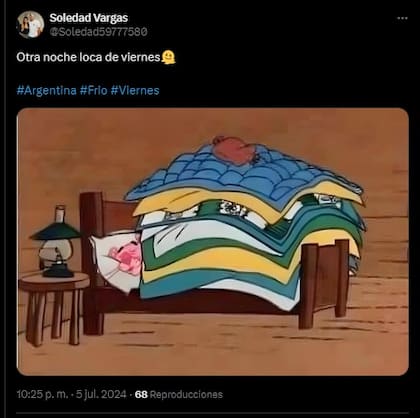 Los mejores memes por la llegada de la ola polar