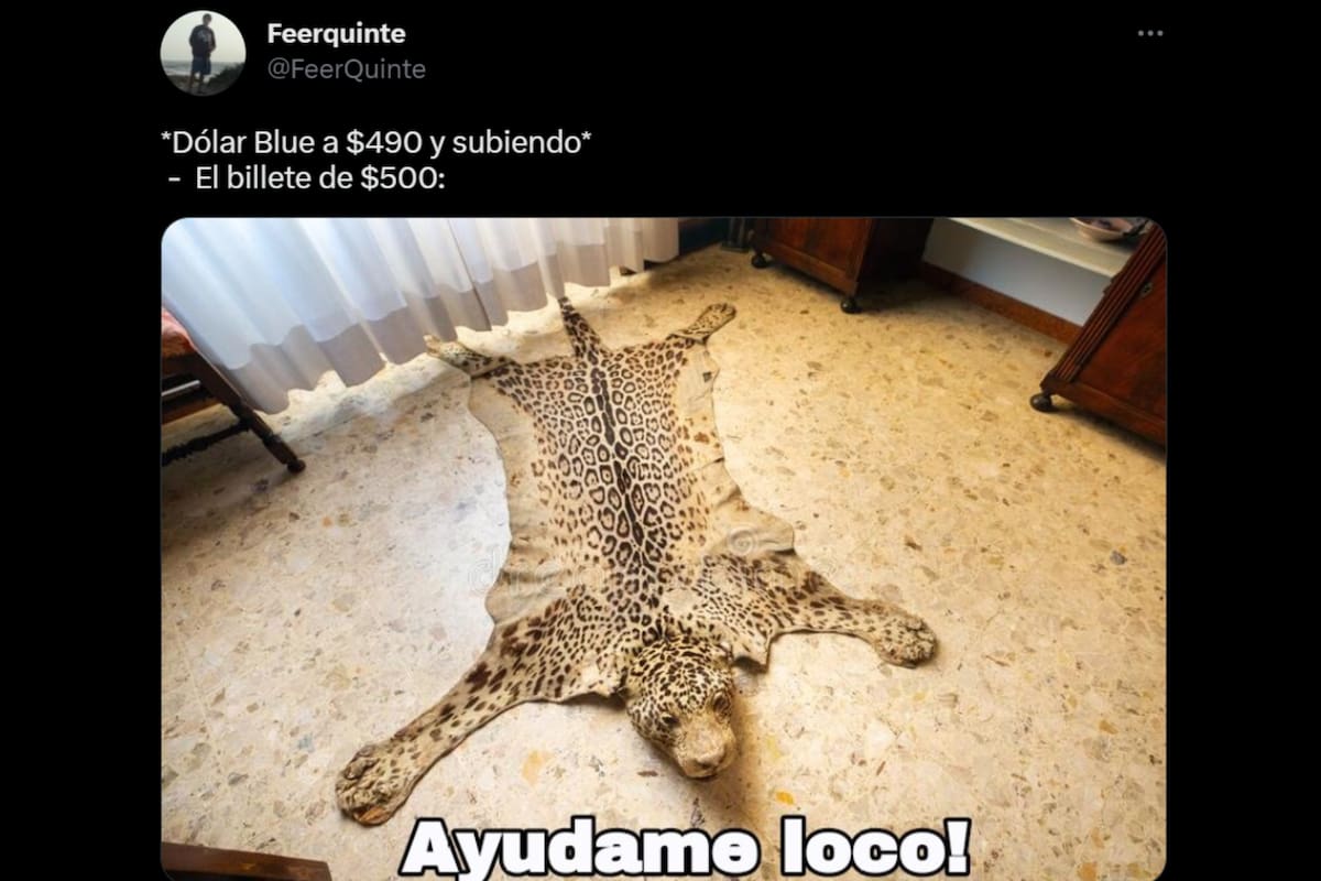 Los mejores memes por la subida del dólar