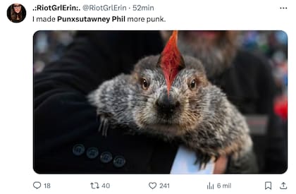 Los mejores memes y reacciones por el Día de la Marmota 2024