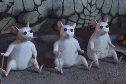 los memes de la consagración de Brasil en la Copa América