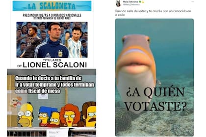 Los memes de las elecciones generales legislativas 2021