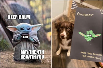 Los memes de los fanáticos en redes sociales con ocasión del Día de Star Wars (Crédito: Twitter)