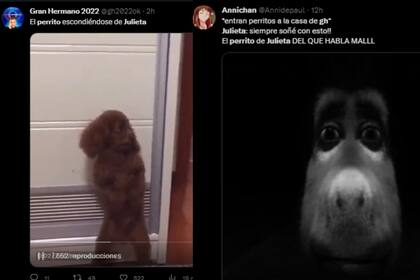 Los memes estallaron contra Julieta (Captura video)