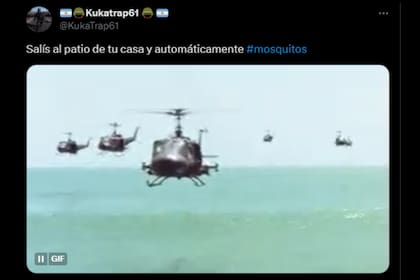 Los memes estallaron por la gran presencia de mosquitos (Foto X)