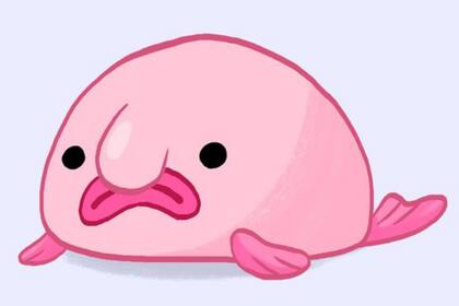 Los memes sobre el pez se hacen en base a cómo luce cuando ya está muerto y su cuerpo se atrofia al emerger a la superficie