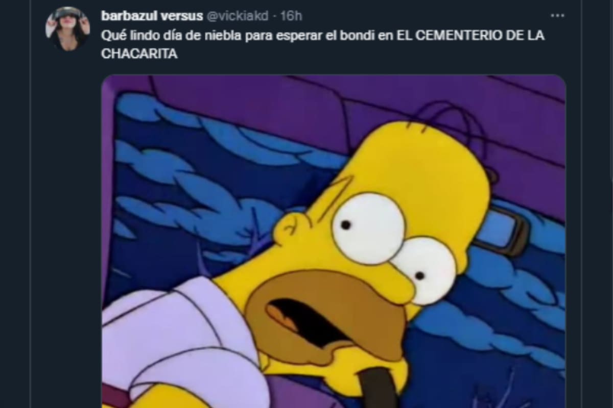 Los memes sobre la neblina invadieron las redes sociales (Foto: Captura Twitter/@vickakd)