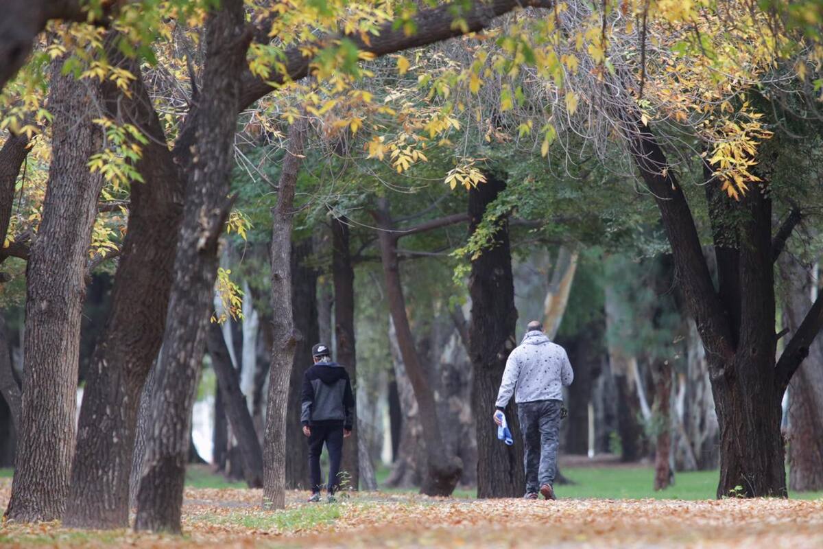 Los mendocinos comienzan a salir de a poco a las plazas y parques, mientras el Gobierno define cómo instrumentará la medida.