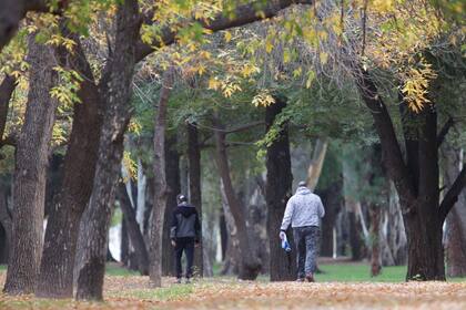 Los mendocinos comienzan a salir de a poco a las plazas y parques, mientras el Gobierno define cómo instrumentará la medida.