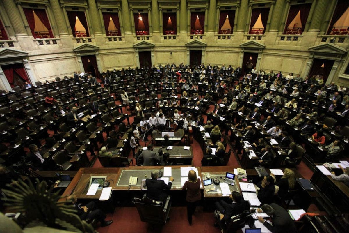 Los menores de 35 años tendrán un escaño menos en Diputados, mientras que en el Senado seguirá habiendo tres