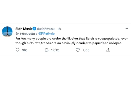 Los mensajes de Elon Musk que confirmarían que tuvo gemelos con su empleada