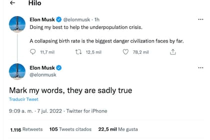 Los mensajes de Elon Musk que confirmarían que tuvo gemelos con su empleada