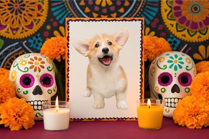 Los mexicanos tienen una fecha especial para conmemorar a las mascotas fallecidas en el Día de Muertos (Canva)