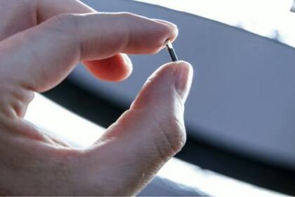 Los microchips tienen el tamaño de un grano de arroz