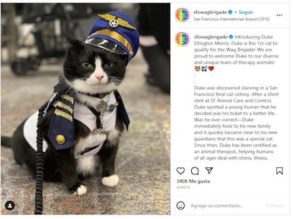 Los miembros de la Brigada Wag le dieron la bienvenida al gato Duke a inicios de este mes