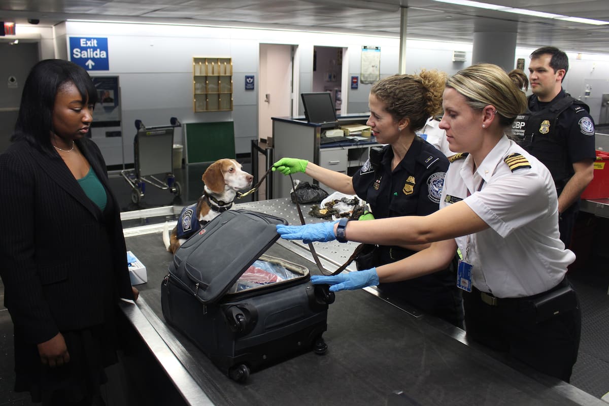 Los miembros del programa Global Entry tienen una inspección menos rigurosa que el resto; la foto es ilustrativa