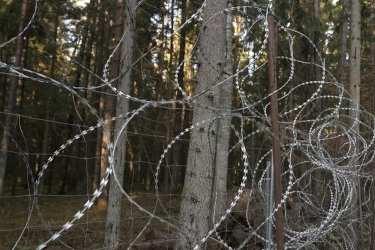 Los migrantes usan escaleras y tenazas para poder cruzar la alambrada instalada por Polonia en 2022.