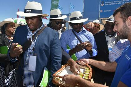 Los ministros y viceministros del Caribe estuvieron en Expoagro