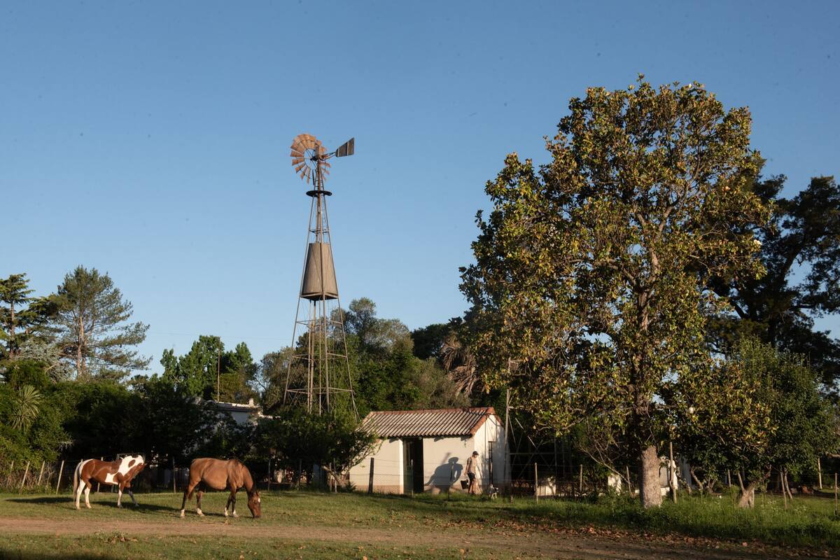 Los molinos, postal del campo