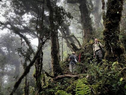 Los montes Cíclopes son escarpados y peligrosos, además de ser el hábitat de especies que todavía "no conocemos".