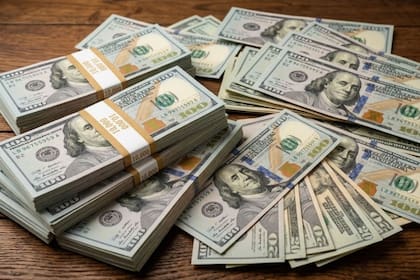 Los montos de la fianza pueden variar entre US$10.000, US$15.000 y US$20.000