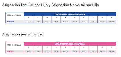 Los montos de la Tarjeta Alimentar de enero 2022 se abonan de manera automática y simultánea a los pagos de la AUH y la AUE