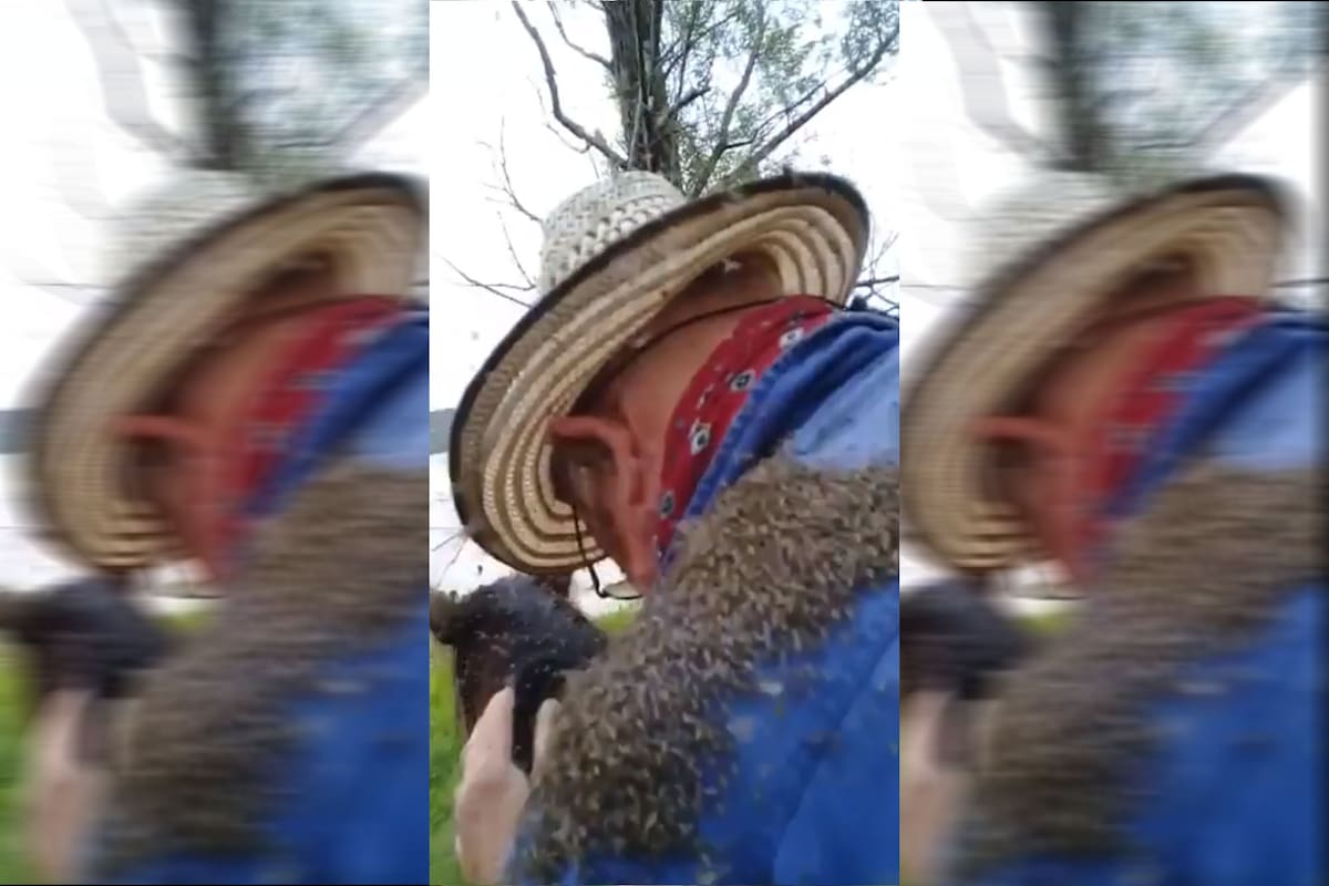 Los mosquitos atacaron a dos vecinos que fueron a arrear ganado.