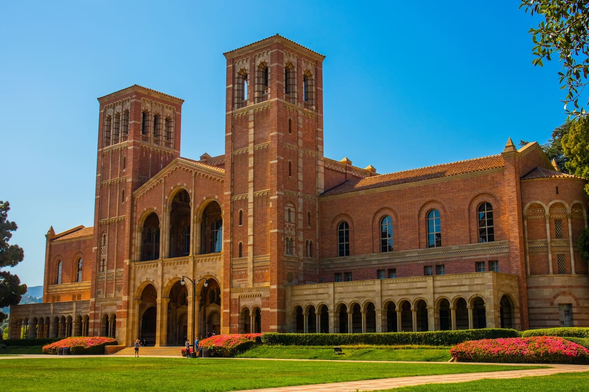 Los motivos por los que varios estudiantes optan por dejar California / Unsplash