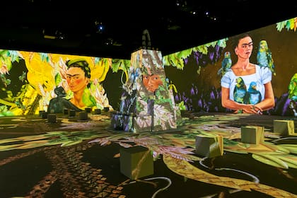 Los motivos tradicionales de los cuadros de Frida se reproducen en el piso y las paredes