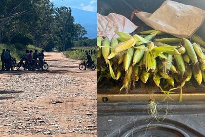 Los "motochorros de choclos" hacen guardia para seguir saqueando un campo con maíz