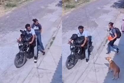 Los motociclistas que robaban comida de perros callejeros quedaron captados por las cámaras de seguridad de una casa