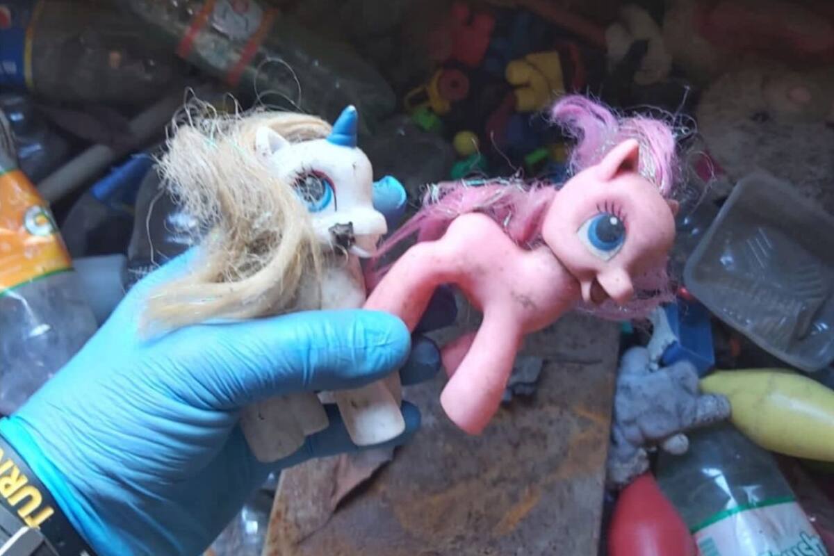 Los muñecos usados en el caso de la niña que era inducida sexualmente por su padre para distribuir las fotos en la Deep Web