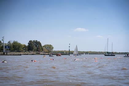 Los nadadores en plena travesía por el Río de la Plata