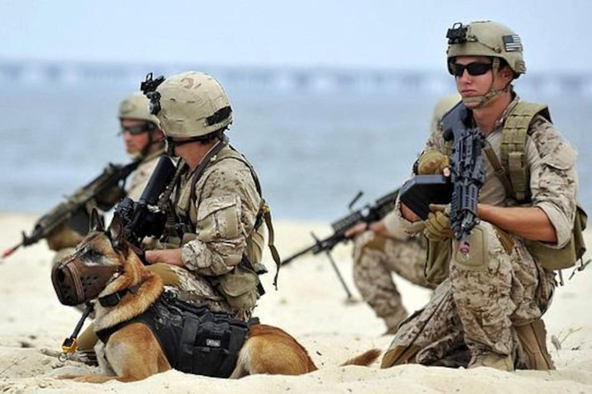 Los Navy Seals son la principal fuerza de operaciones especiales de la Armada de los Estados Unidos