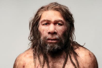 Los neandertales desaparecieron hace unos 40.000 años