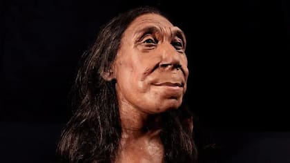 Los neandertales eran una especie separada de la nuestra, pero similares en muchos aspectos.