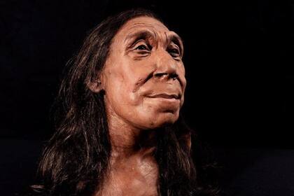 Los neandertales eran una especie separada de la nuestra, pero similares en muchos aspectos