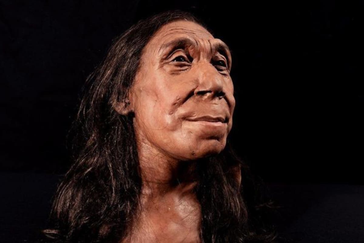 Los neandertales eran una especie separada de la nuestra, pero similares en muchos aspectos
