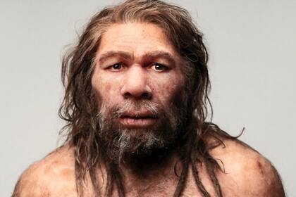 Los neandertales y sus costumbres siguen siendo material de estudio