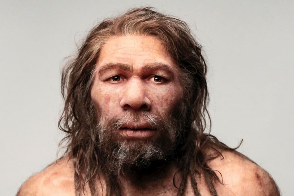 Los neandertales y sus costumbres siguen siendo material de estudio