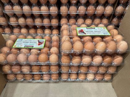 Los neoyorquinos recibirán huevos de manera gratuita, aunque con tiempo limitado