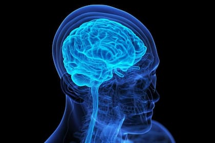 Los neurólogos saben que el ejercicio beneficia al cerebro al aumentar el flujo sanguíneo y transportarle oxígeno