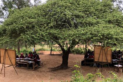 Los niños en una escuela rural de Kangundo tienen clases abajo de un árbol porque las clases no están habilitadas por las condiciones de seguridad