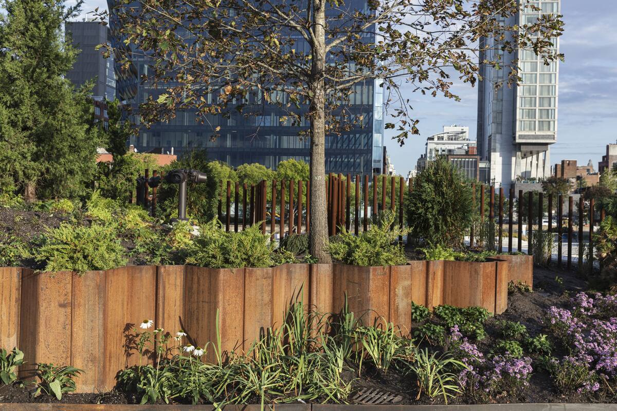 Los niños y vecinos de Washington Heights perdieron un espacio verde